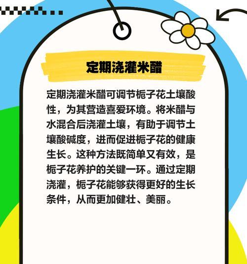 栀子花黄叶掉叶是什么原因？如何处理？