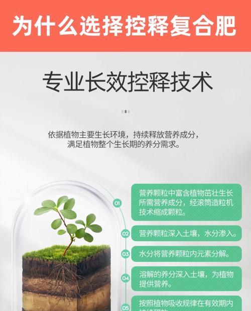 绿萝生长需要哪种肥料？