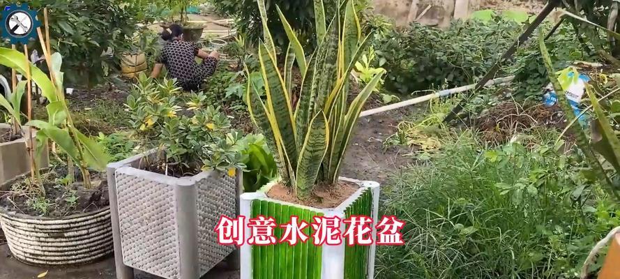自制水泥花盆的步骤是什么？