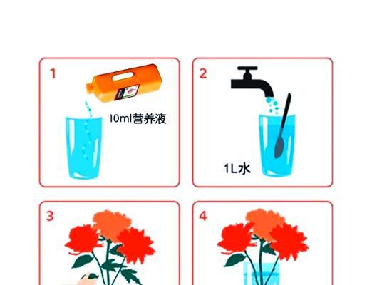 花期延长的秘诀是什么？