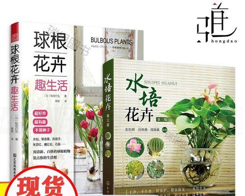盆栽花卉的日常养护技巧是什么？