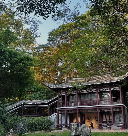 金桂花的定义是什么？