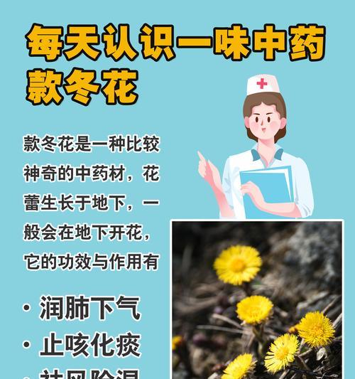 花怎么过冬？冬季花卉养护小知识！