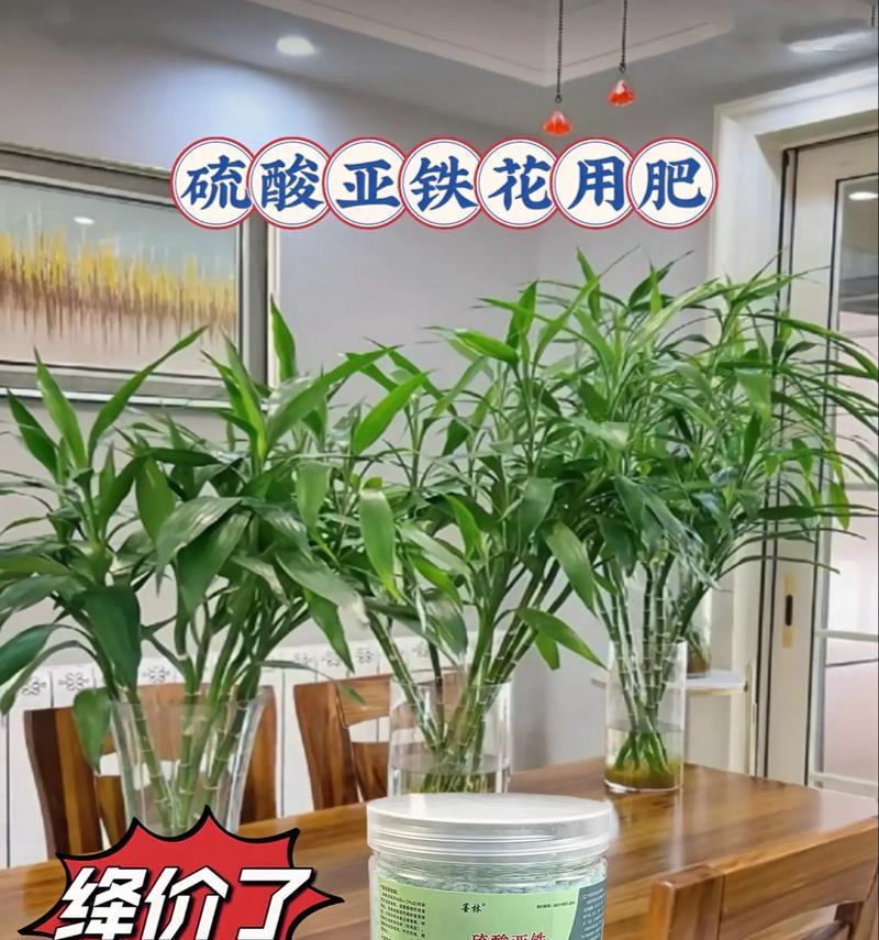 花卉生长需要哪种肥料？