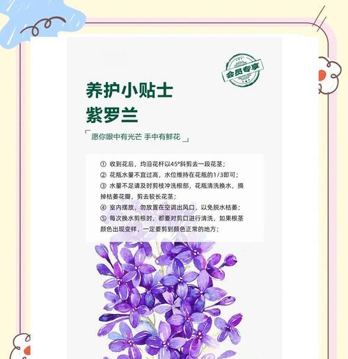 迷你紫罗兰的养殖方法有哪些？