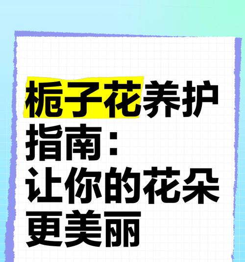 栀子花养护方法是什么？