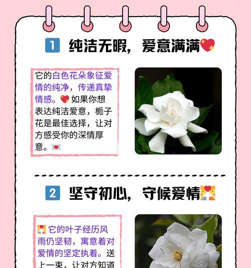 栀子花养护方法是什么？