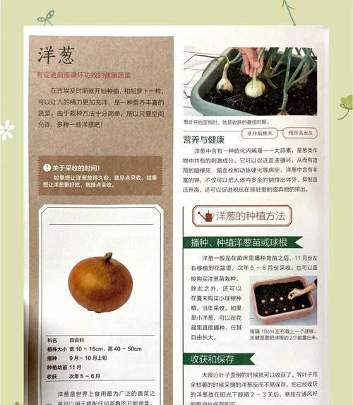 阳台怎么种菜？空间有限也能享受种植乐趣的秘诀！