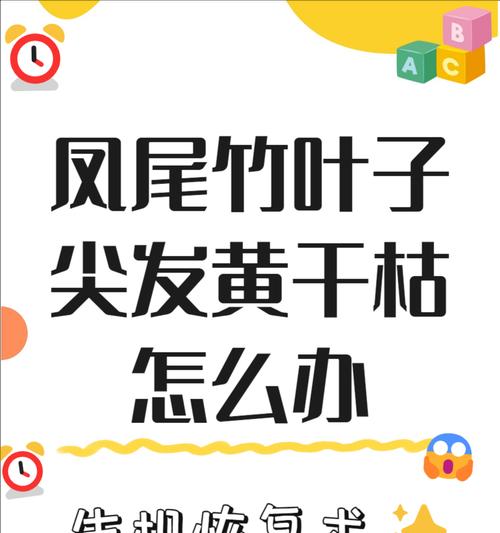 散尾竹叶子发黄是什么原因？如何解决？