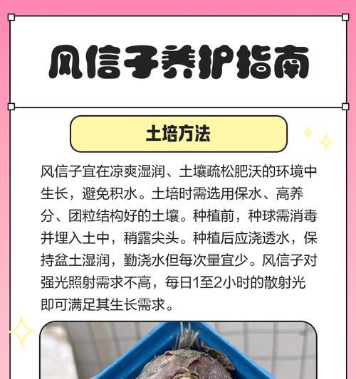 风信子换水的最佳时机和方法？