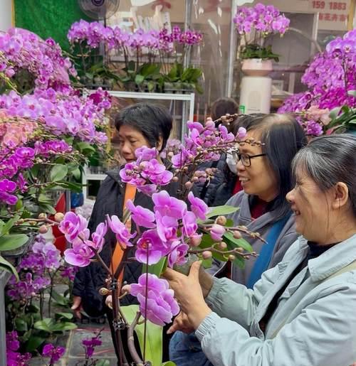 广东地区适合种植哪些花卉？