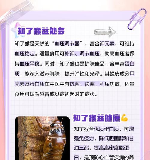 知了花的养殖技巧和注意事项是什么？