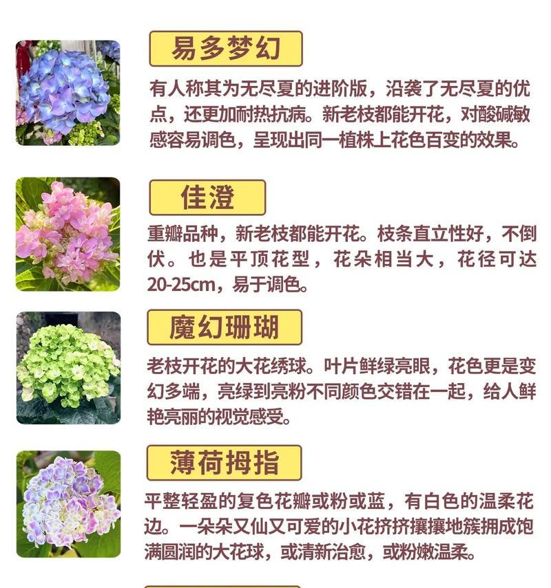 绣球花的开花条件是什么？如何调整土壤酸碱度促进绣球开花？