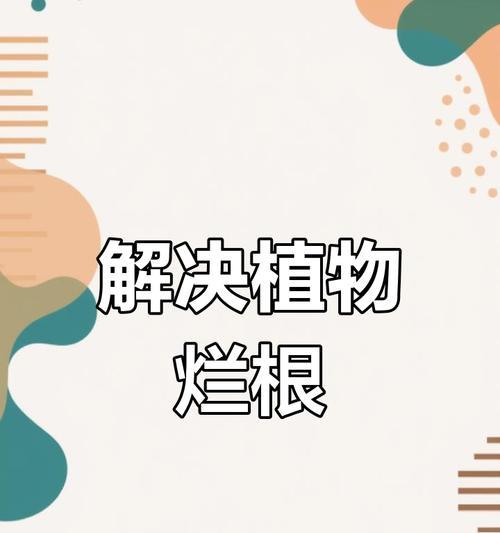 植物烂根的处理方法是什么？如何预防烂根现象？