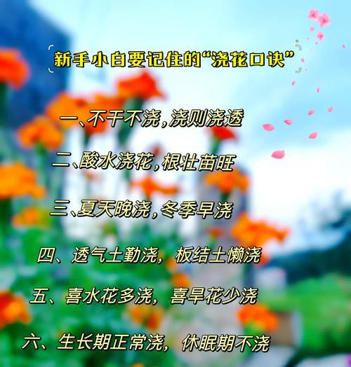 饼肥使用方法是什么？如何正确浇花？