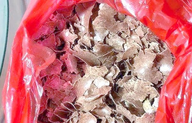 饼肥使用方法是什么？如何正确浇花？