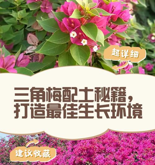 花土配制的最佳比例和方法是什么？