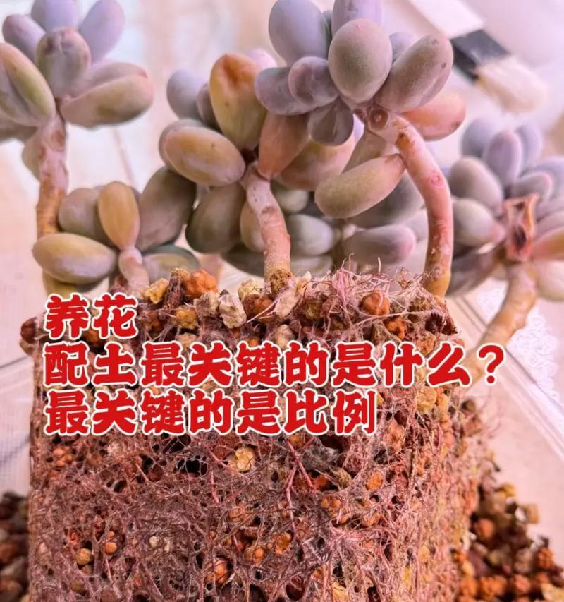 花土配制的最佳比例和方法是什么？