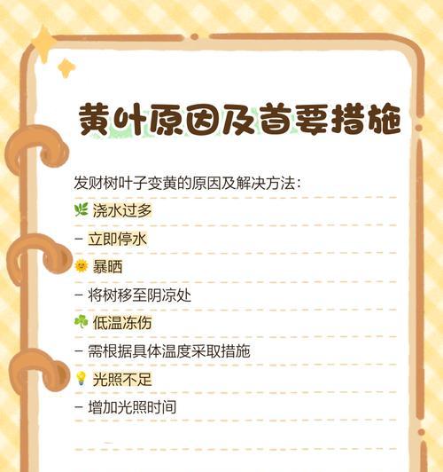 发财树叶子皱的解决措施有哪些？