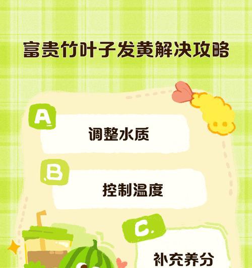 水养富贵竹发黄的解决措施有哪些？