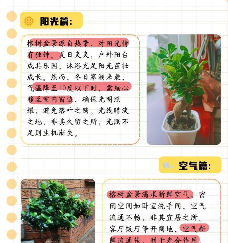 榕树长虫了怎么处理？榕树虫害的防治方法有哪些？