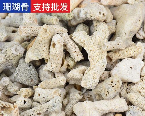 珊瑚石养护方法是什么？
