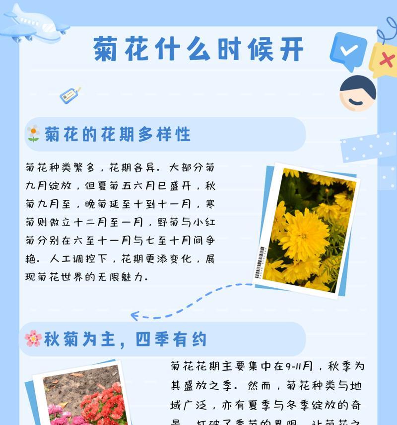 菊花十大品种有哪些？如何区分？