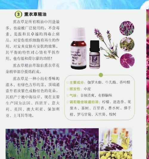 薰衣草的种类有哪些？它们的用途和特性是什么？