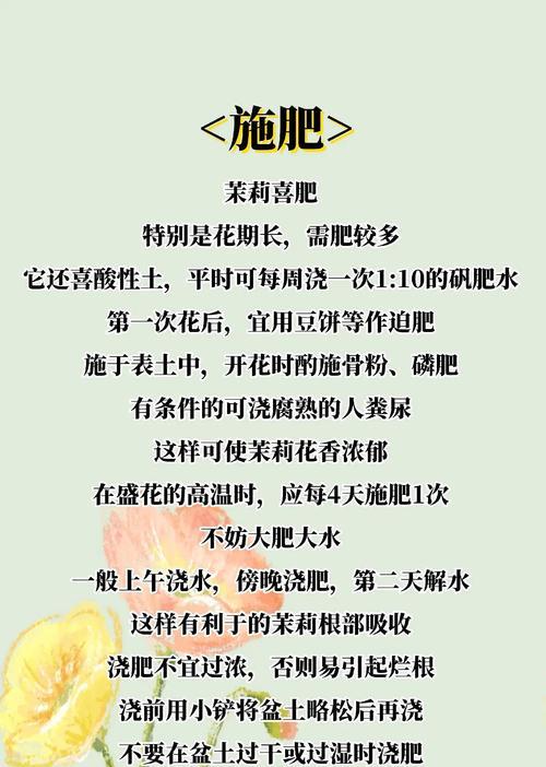 紫茉莉的养殖方法和注意事项是什么？