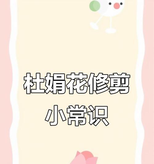 杜鹃花修剪的最佳时机和技巧是什么？