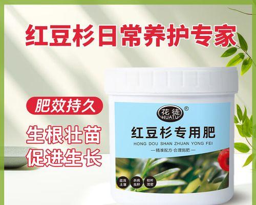 红豆杉的施肥建议是什么？