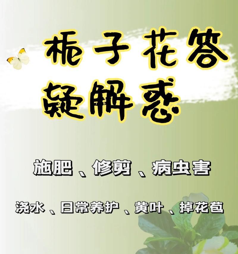栀子花的生长习性是什么？如何进行日常养护？
