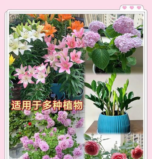 氮肥有哪些种类？如何正确使用？