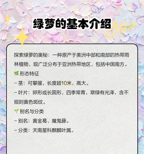 绿萝的养护技巧和常见问题有哪些？