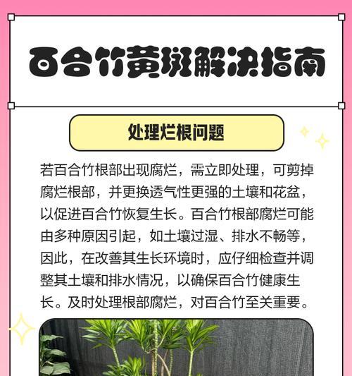 竹子叶片变黄的原因是什么？如何处理？