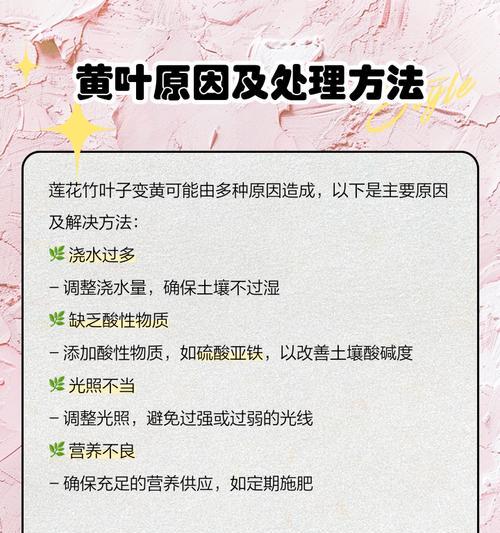 竹子叶片变黄的原因是什么？如何处理？