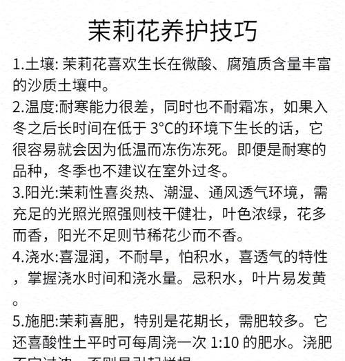 如何正确养殖茉莉花？