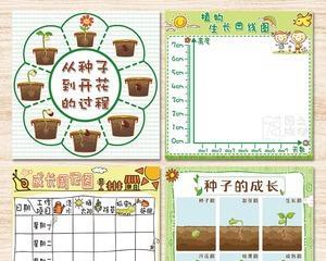 盆栽种子种植的步骤是什么？怎样才能成功发芽？