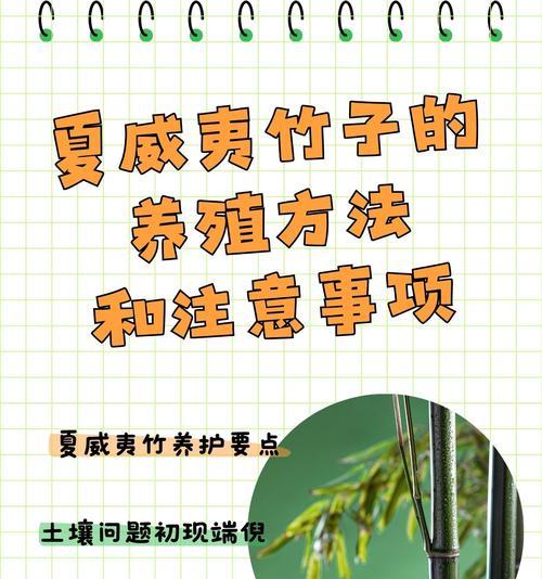 花盆植物的养护要点有哪些？如何保持其健康生长？