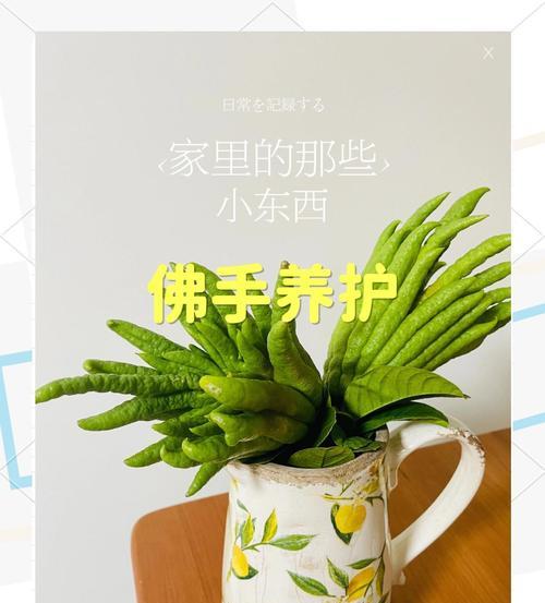佛手的养殖方法和注意事项是什么？