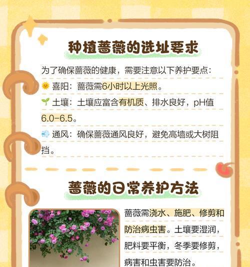 蔷薇怎么修剪才开花？蔷薇修剪的最佳时机和方法是什么？