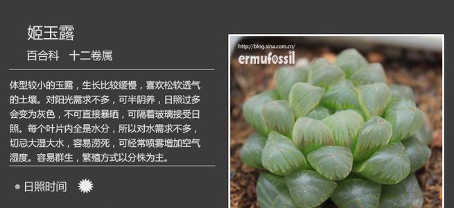 植物种与品种有何不同？如何区分植物的种和品种？