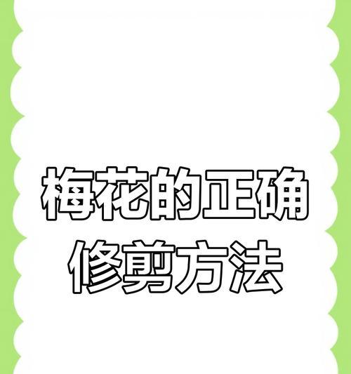刺梅剪下枝条怎么移栽？刺梅枝条移栽的正确步骤是什么？