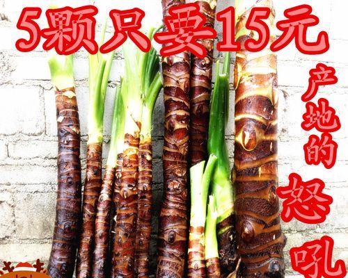 水培千手观音养殖方法是什么？