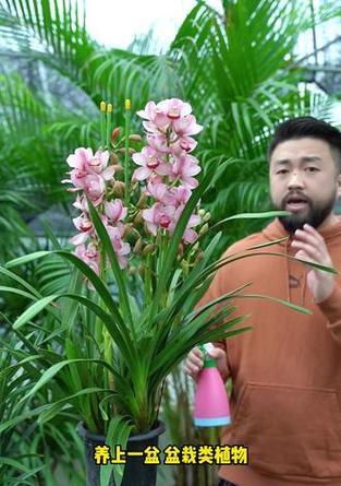 自吸水花盆施肥的最佳方法是什么？