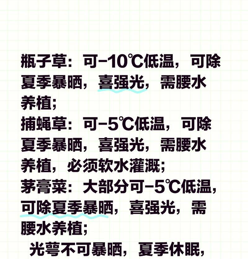 瓶子草的养殖技巧和常见问题解答？