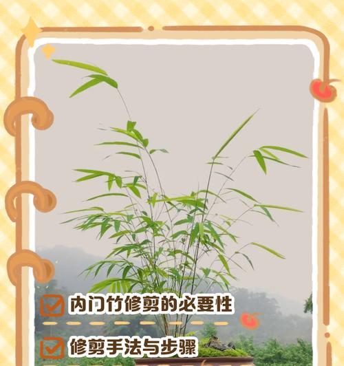 转运竹修剪的最佳时机和方法？