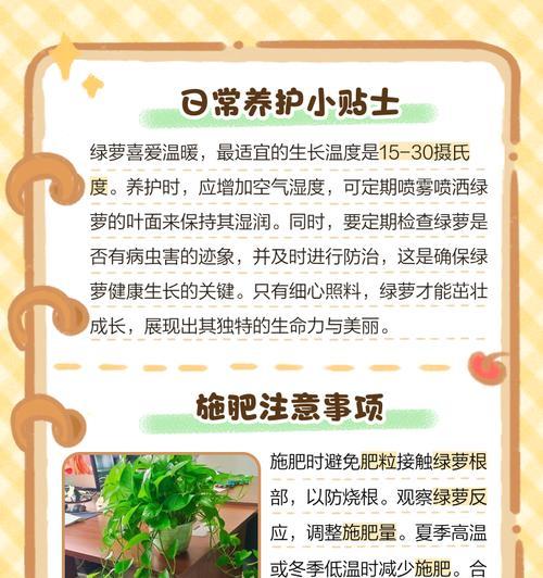 绿罗施肥指南：什么肥料最适合？