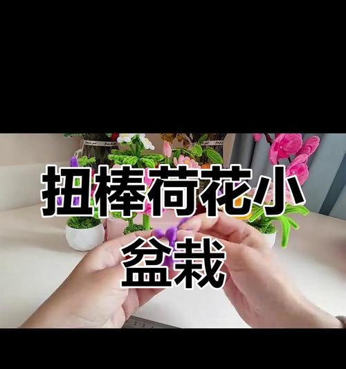 自制小盆栽的步骤和技巧有哪些？