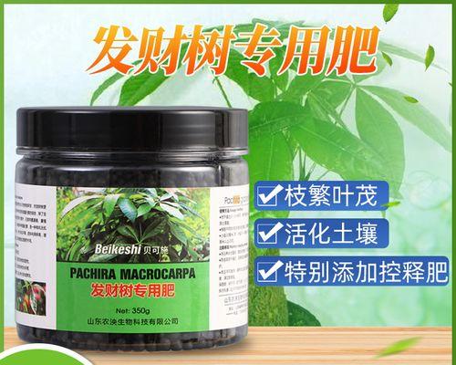 发财树用什么肥料最好？如何施肥才能促进健康生长？
